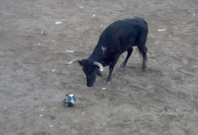Embistiendo la pelota.jpg